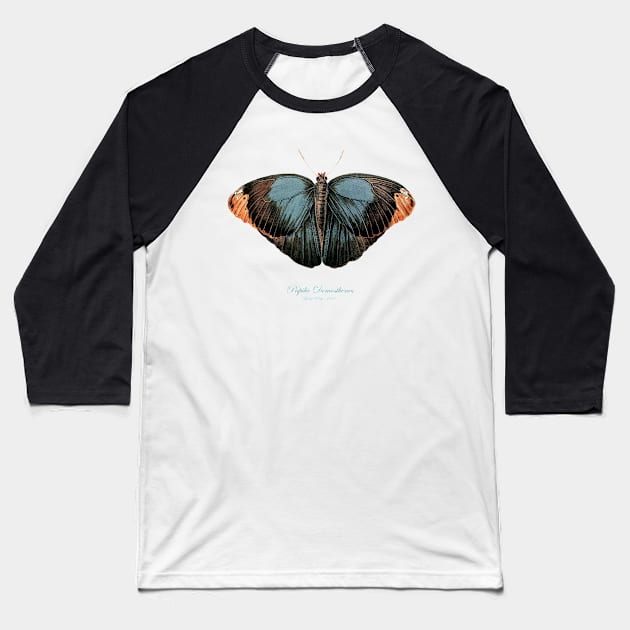 Butterfly - Purple Owl, Papilio Demosthenes, Caligo Beltrao Illiger Baseball T-Shirt by SPJE Illustration Photography